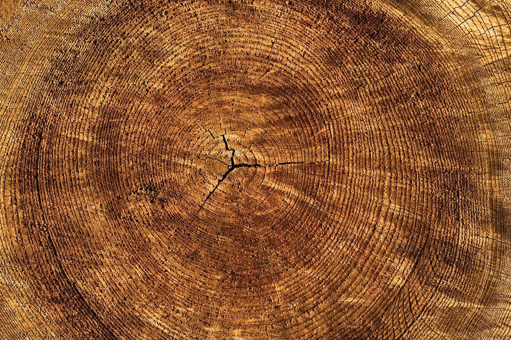 Sustainable resource harvesting practices