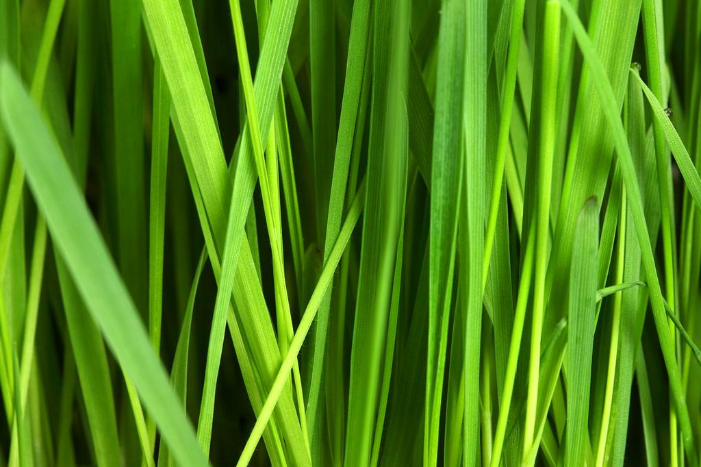 Guidebook cover on sustainable resource alternatives